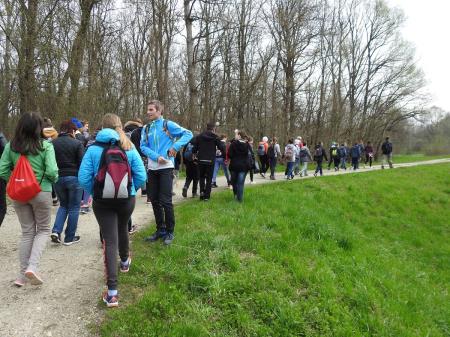 7. april, mednarodni dan bobra in Dan za spremembe 5